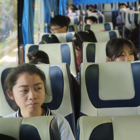 【久佰行走课堂】渝中区实验学校七年级一班丨亲近自然•感受生态之美