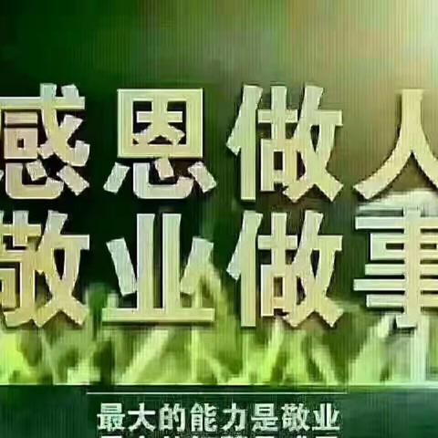 后备母猪的配种管理