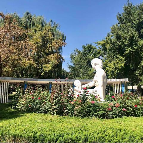 哥哥带我抓蛤蟆