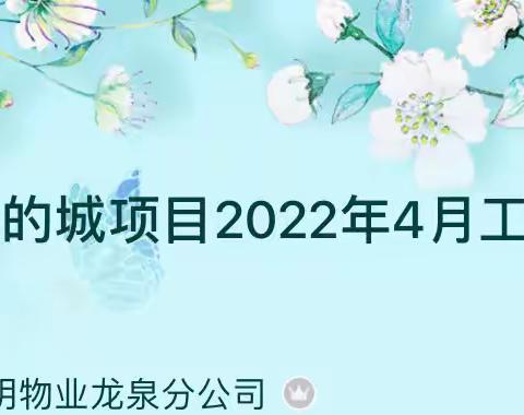 果壳里的城项目2022年4月工作汇报