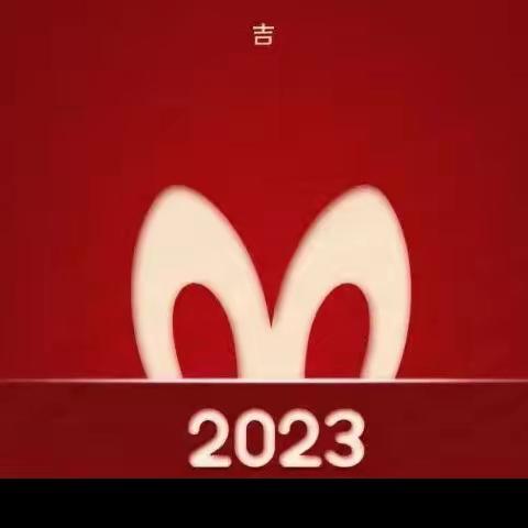 果壳里的城项目2023年一月工作汇报