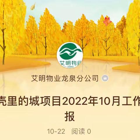 果壳里的城项目2022年10月工作汇报