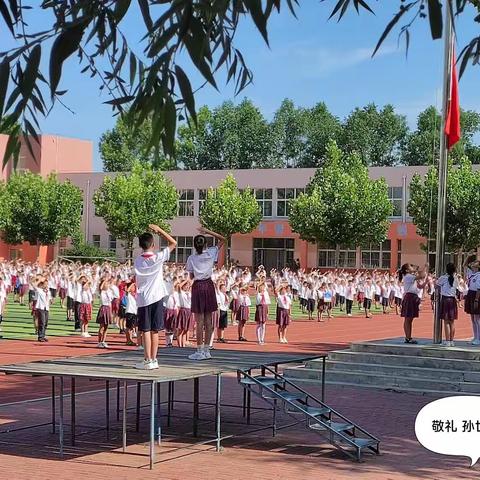 第十九周虎园最美发现