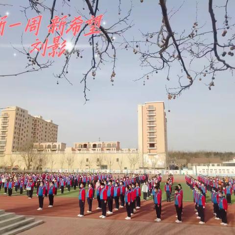 第三周虎园最美发现