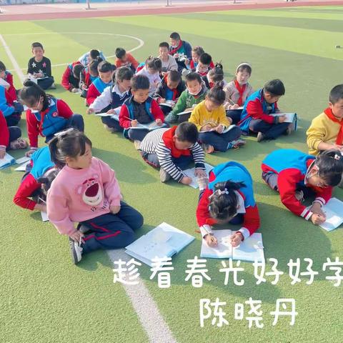 第五周虎园最美发现