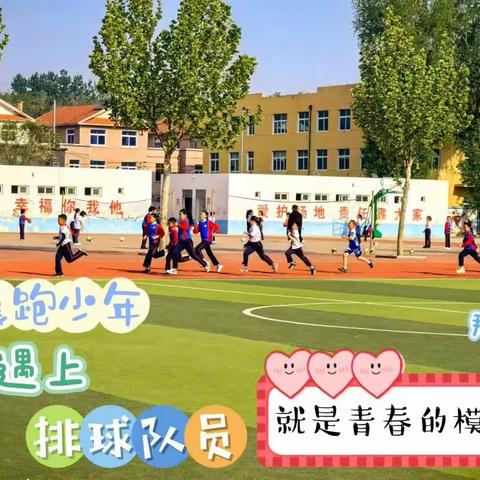 第十二周虎园最美发现