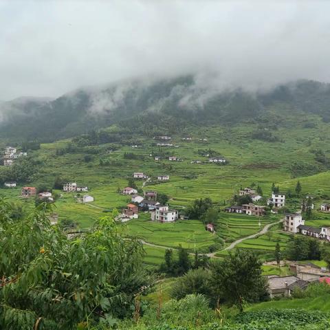 探遂川大汾镇石臼窝、游醉美米岭梯田