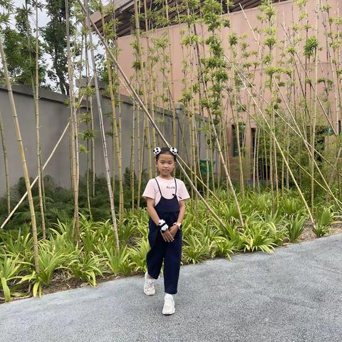 佳哇的美篇