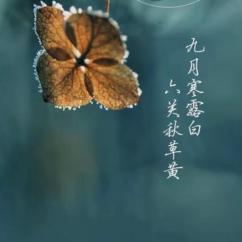 秋风起寒露至，做到这几点孩子少生病！