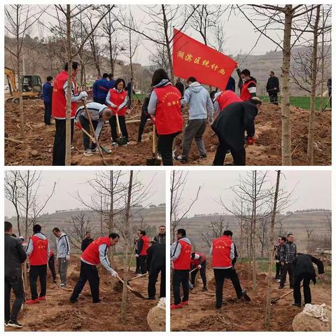 为人居环境添一抹绿---位家沟村义务植树活动剪影