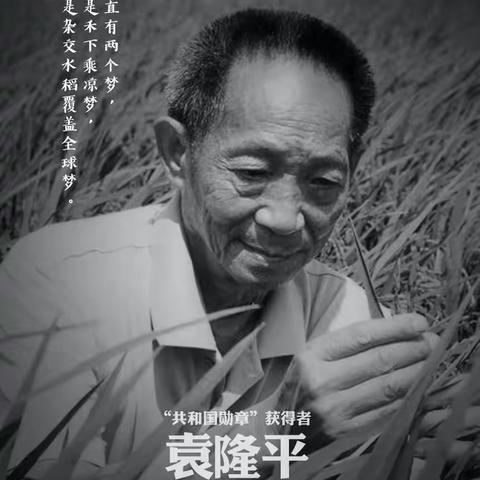 沉痛哀悼袁隆平院士