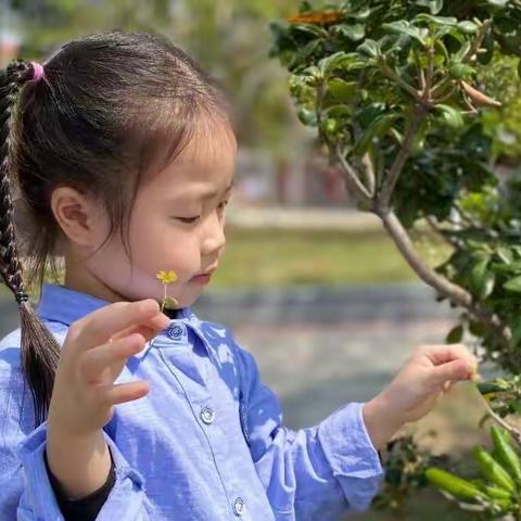 艺韵幼儿园新园区中二班第二主题总结花絮——《我有多爱你》