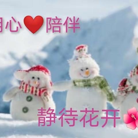 “用心❤️陪伴，静待花🌺开”枣坪幼儿园大二班秋季学期的点滴记录