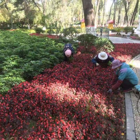 庆国庆 喜迎二十大 为给广大市民创造一个温馨 干净安全的游园环境