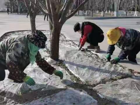 园容部日常工作掠影