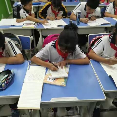 算算乐心脑速算/龙博士托管中心招生啦