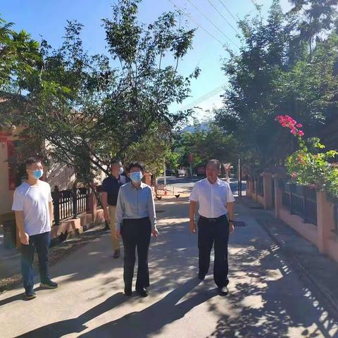 三亚市住建局局长侯迎华到育才生态区龙密村开展调研工作