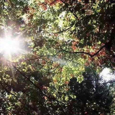 “生活中的心理学”