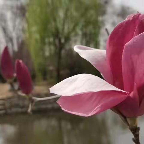 分享“生活中的心理学”落地生活实践！4.27﻿