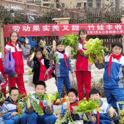 劳动果实甜又美 竹娃丰收迎新年——2022年九江市双峰小学劳动教育实践活动