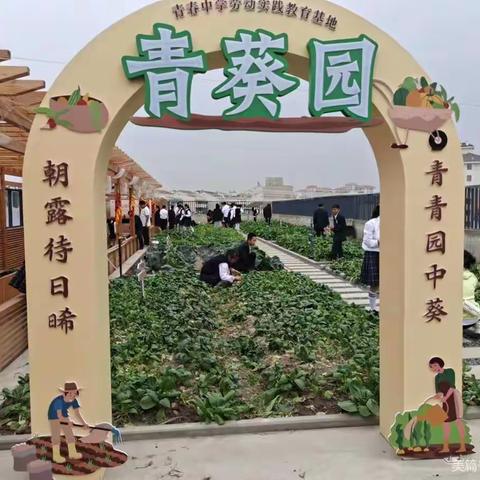 青春中学703班《我劳动，我快乐》