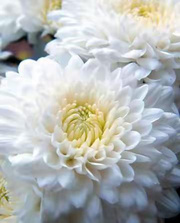  为最亲的人，点亮一盏心灯！