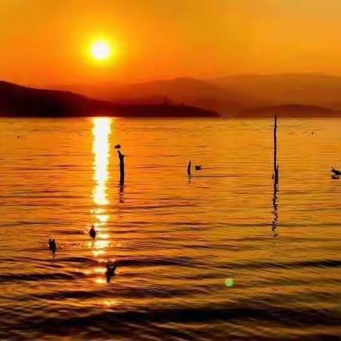 善待晚年的自己