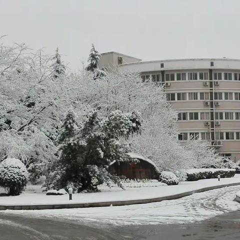 银色世界里的农科院