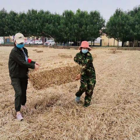 王勿桥乡 副乡长：李蒙浩同志带领新丰村防火队为贫困户：张贵香清运麦田秸秆。