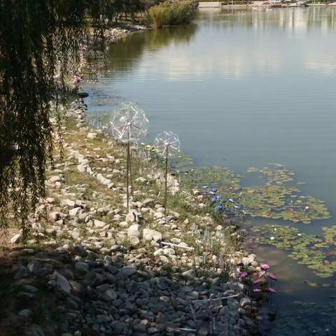 庆祝中华人民共和国成立70周年