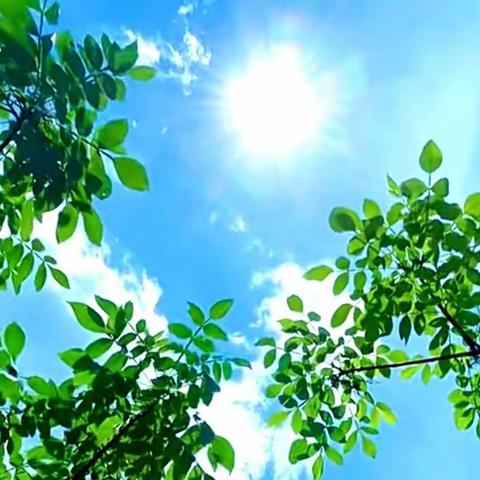 别样的盛夏「实」光                                                                      ——暑期托管纪实