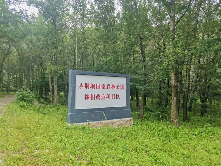 隆化黑熊谷快乐游