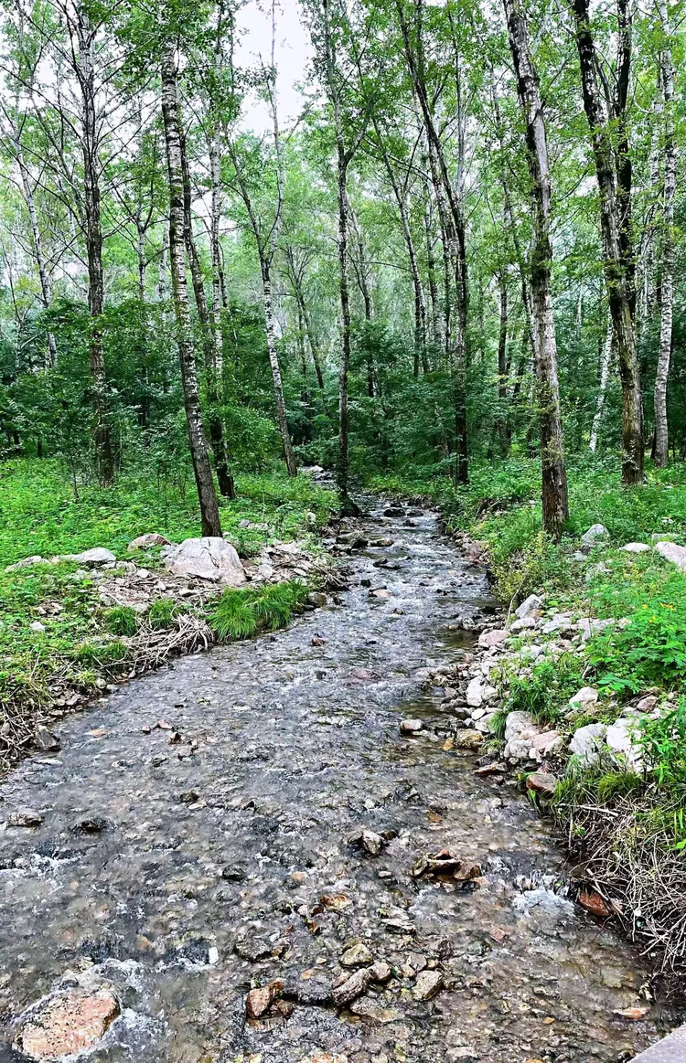 隆化黑熊谷快乐游