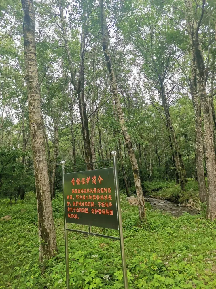 隆化黑熊谷快乐游