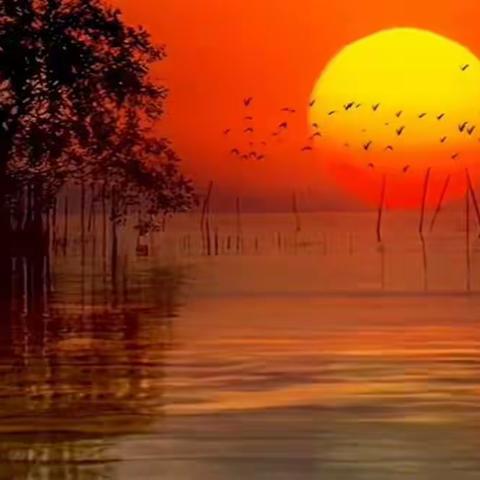 我打碎了夕阳