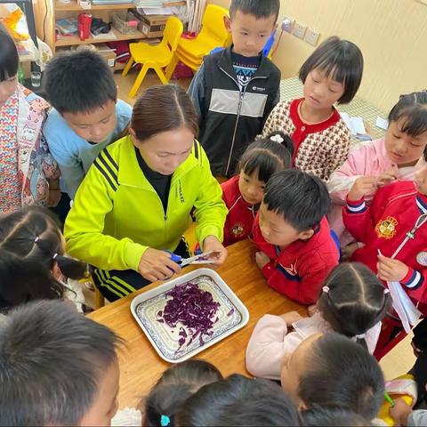 大理市才村欣心幼儿园启航（1）班科学《神奇的紫甘蓝》