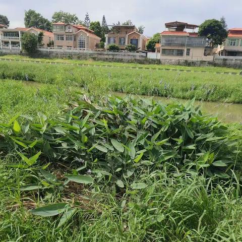 即兴来了一场说走就走的团建活动