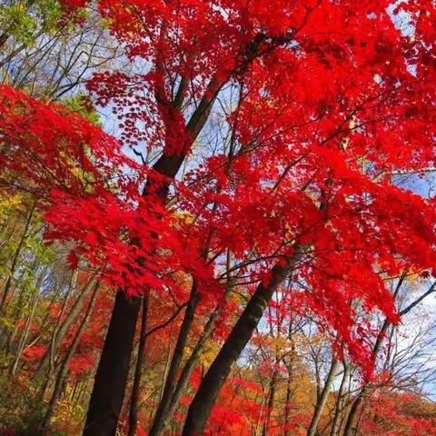 责任田与自留地