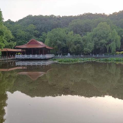 绿水青青映碧山