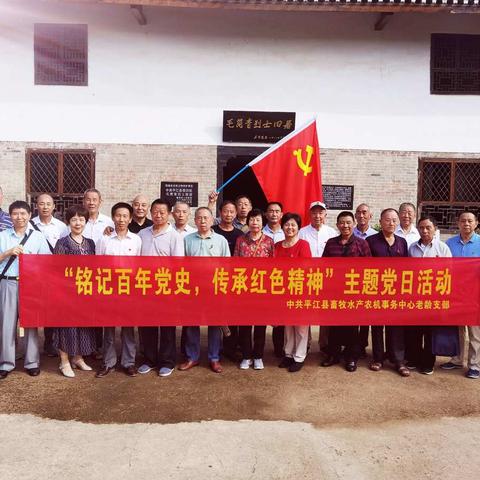 “铭记百年党史，传承红色精神＂主题党日活动