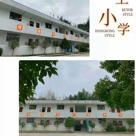 “线上教学助花开，居家学习盼疫散”———大桥镇界上小学线上教学