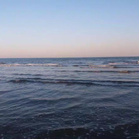 低进高出， 圆梦职教——鸡泽县职教中心高考再创佳绩