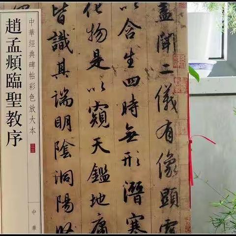 燕青书画社学习赵孟頫临圣教序学员作品展
