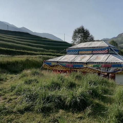 油田老友小聚湟源日月乡宗家沟大石头村