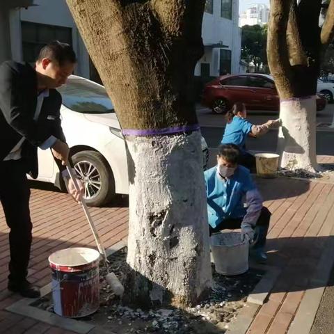 美好时光的美篇