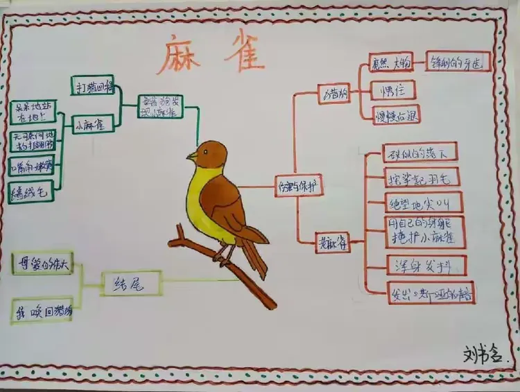习作之美——四年级上册第五单元思维导图集锦