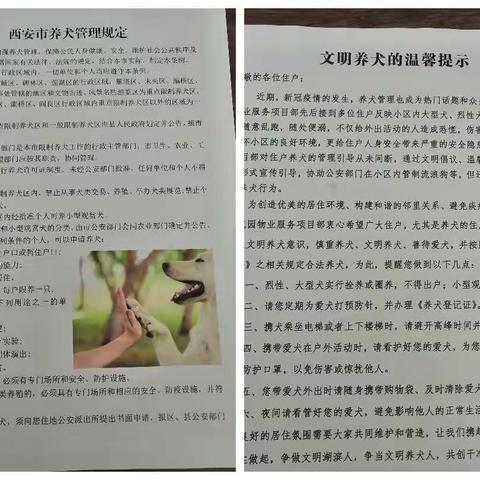 【学党史·❤办实事丨未央湖街道长庆湖滨花园社区党支部在行动】开展“文明养犬我行动 遛狗牵绳我先行”活动