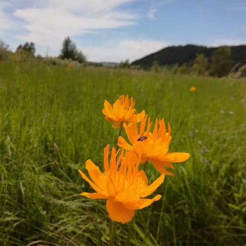 寻梦木兰围场，开心之旅