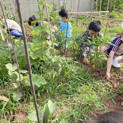 身体虽辛苦，心里喜洋洋