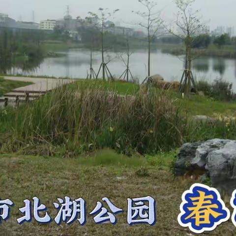 南宁有南湖、北湖，公园春游开心又快乐！